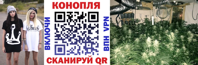 Купить наркоту Багратионовск Бошки Шишки  Cocaine  APVP  Мефедрон 
