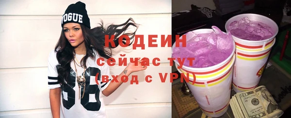 хмурый Няндома