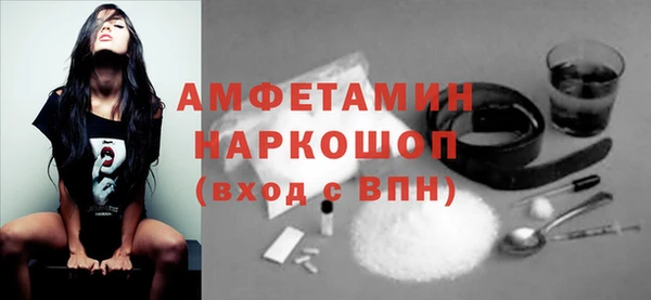 хмурый Няндома