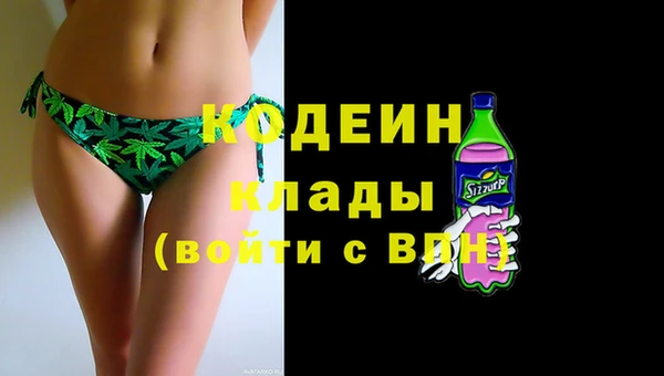 хмурый Няндома
