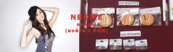 хмурый Няндома