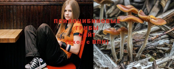 хмурый Няндома