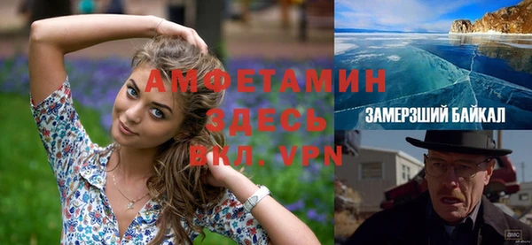 хмурый Няндома