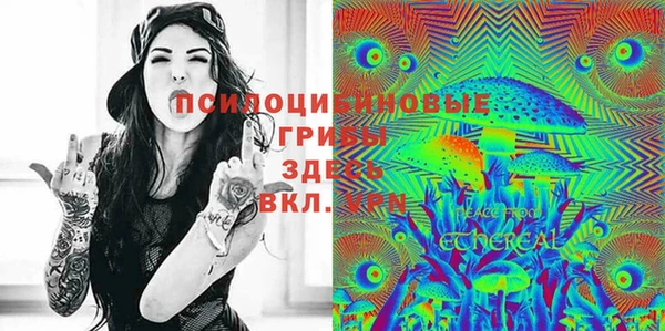 молекула духа Нязепетровск