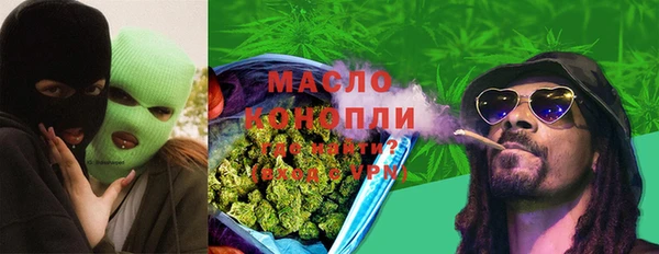хмурый Няндома