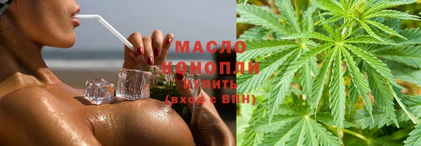 хмурый Няндома