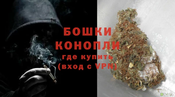 хмурый Няндома