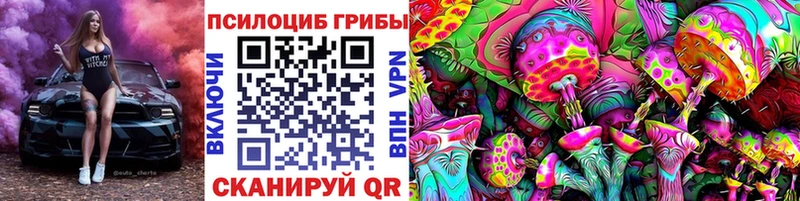 mega зеркало Багратионовск площадка как зайти Галлюциногенные грибы Psilocybine cubensis