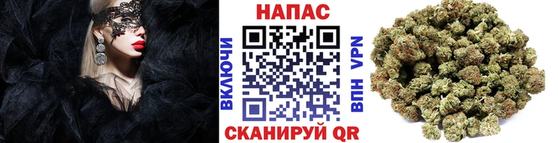 omg ONION  Багратионовск  Марихуана Bruce Banner  купить  